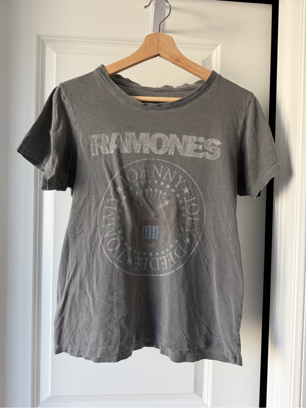 Ramones Graphic Tee in Faded Gray